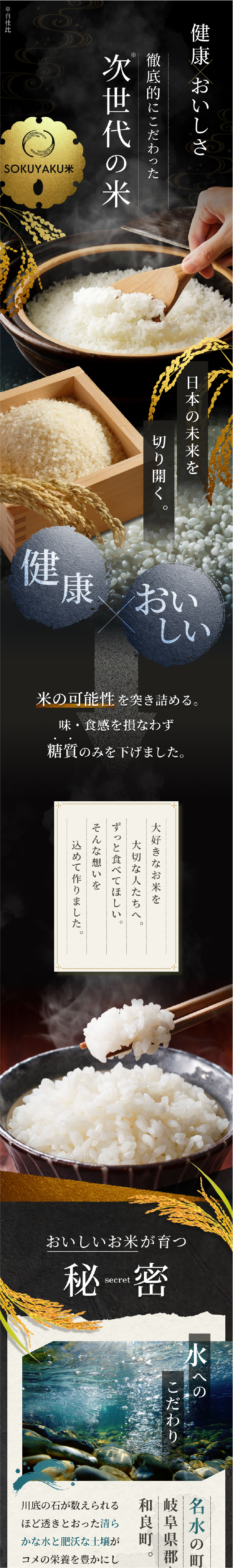 制作実績: スマホサイト3